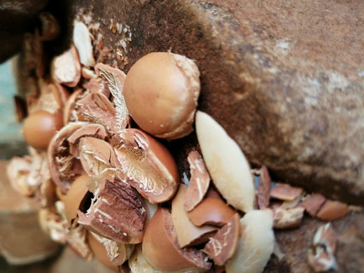 The Magic of Argan Oil in Hair Care